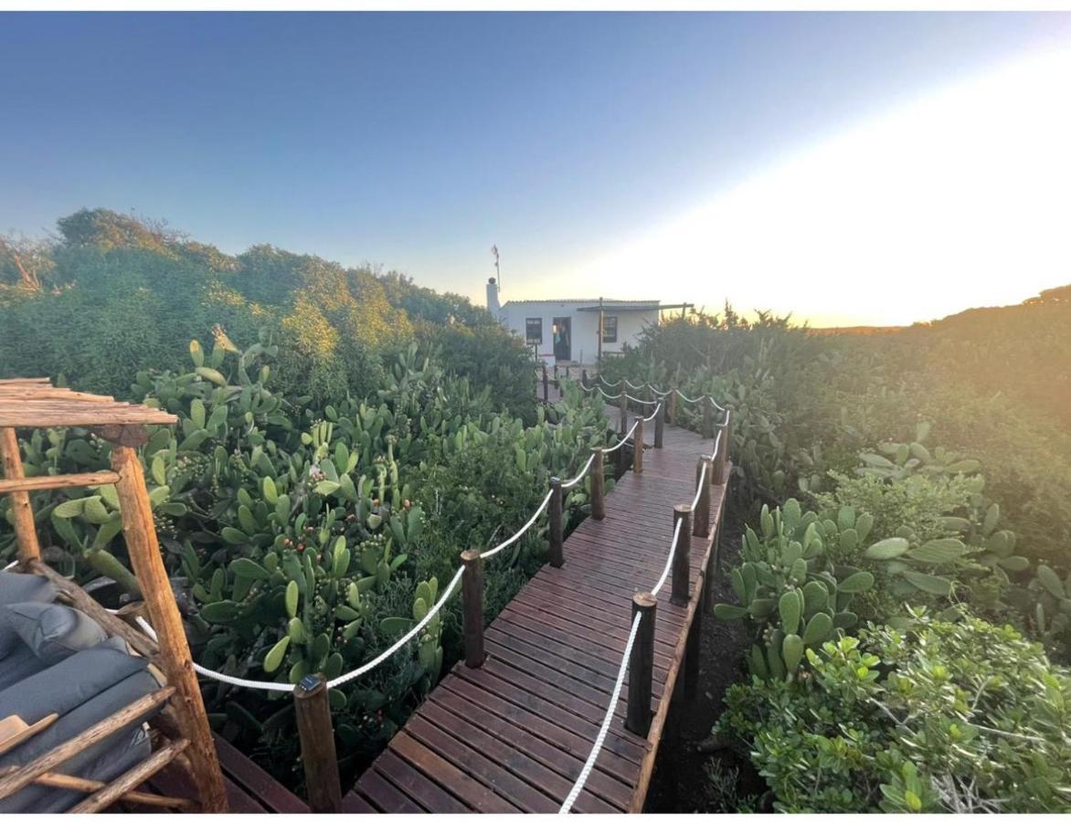 Ostrich Cottage At Les Wings Private Game Farm Groot-Jongensfontein Buitenkant foto